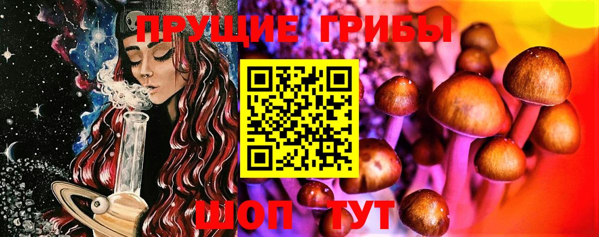 Галлюциногенные грибы Psilocybine cubensis  Галлюциногенные грибы ЛСД  Мурино  закладка  Вход с VPN 